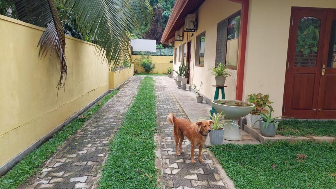 El-Nivasa Villa In Weligama Ngoại thất bức ảnh
