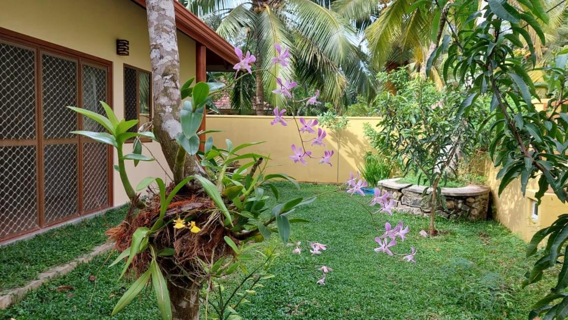 El-Nivasa Villa In Weligama Ngoại thất bức ảnh